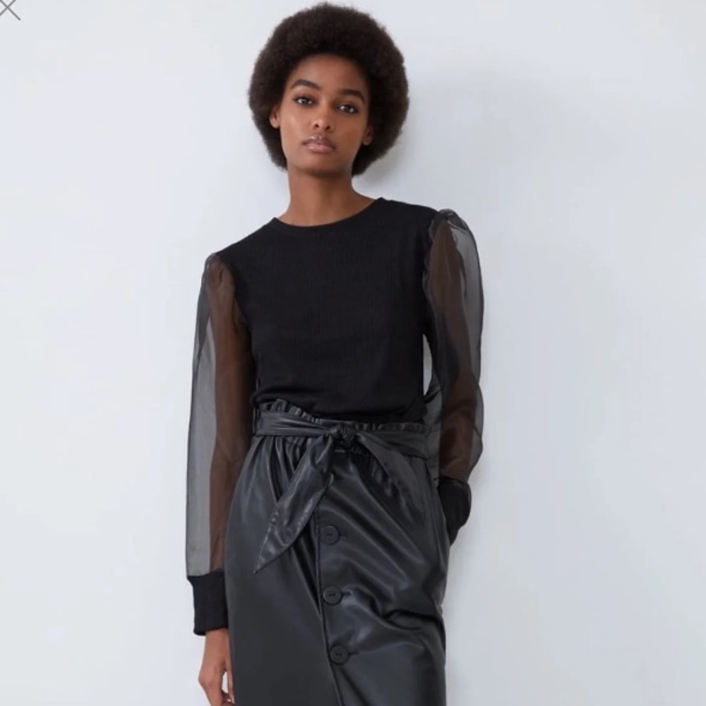 (Zara) Black Constructing Organza